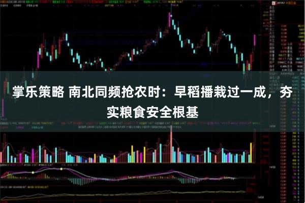 掌乐策略 南北同频抢农时:早稻播栽过一成,夯实粮食安全根基